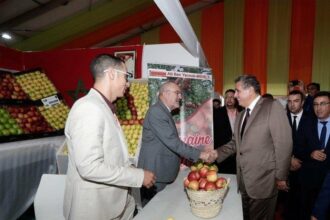 Le Salon national de la pomme de Midelt du 10 au 13 octobre