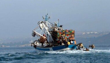 Pêche côtière et artisanale: hausse de 6% des débarquements à fin août