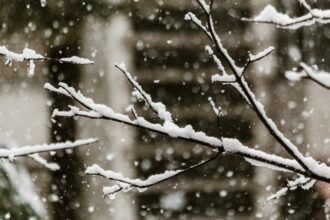 Météo. Chutes de neige prévues lundi et mardi dans plusieurs provinces du Maroc