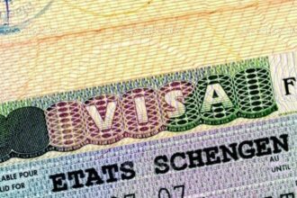 France: vers une gestion dématérialisée de la délivrance de visas