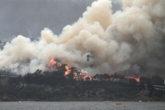 2019, 2e année la plus chaude dans le monde