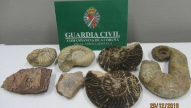 L'Espagne saisit sept fossiles provenant du Maroc