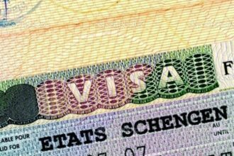 France: une mission parlementaire sur la politique d'attribution des visas