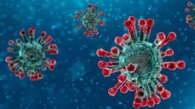 Coronavirus: l'OMS lance des formations en ligne