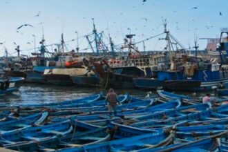 Pêche côtière et artisanale: hausse de 6% des débarquements en 2019