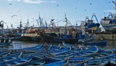 Pêche maritime: Les opérateurs du secteur livrent leurs recommandations