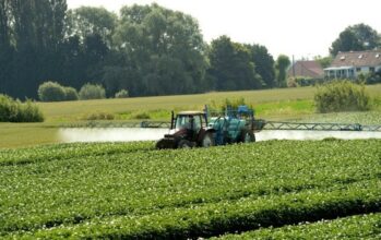 Nouvelle loi pour renforcer le contrôle du commerce des fertilisants