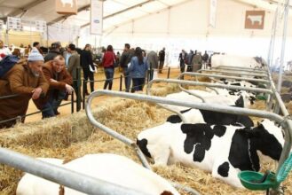 SIAM 2018: 493 journalistes mobilisés pour la couverture médiatique