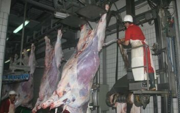 ONSSA: les vétérinaires continueront d'assurer l’inspection des viandes rouges aux abattoirs