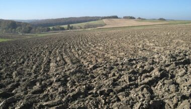Alternative à la faiblesse de pluviométrie, le semis direct des céréales gagne du terrain