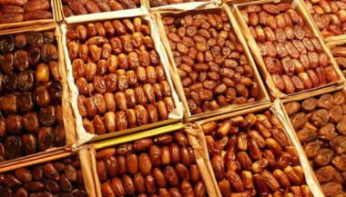 Le Maroc, premier importateur des dattes tunisiennes