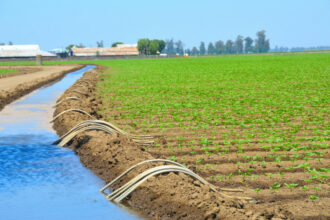 Les dernières pluies sans grand impact sur la campagne agricole et les barrages