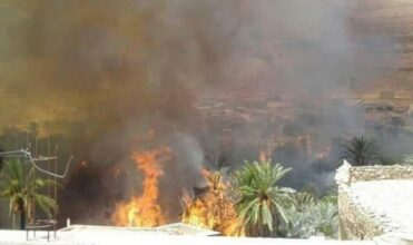 Palmeraie de Tata: Reconstitution des 80 hectares touchés par le feu