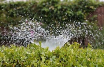 Irrigation: dessalement, micro-irrigation, barrage, le bilan chiffré du Plan Maroc vert
