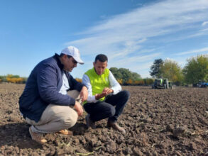 Oléiculture : OCP déploie la 3e étape de son dispositif &ldquo;Al Moutmir itinérant&rdquo; à Taourirt