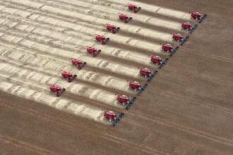 Soja: récoltes record en Amérique du Sud, dopées par la demande chinoise