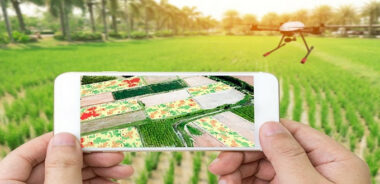 Trois plateformes digitales pour une agriculture durable en Afrique