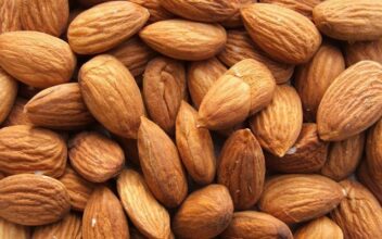 Filière de l'amande marocaine : surfaces plantées et production en hausse