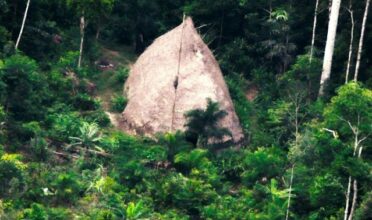 La déforestation en Amazonie brésilienne enregistre un record en 2022