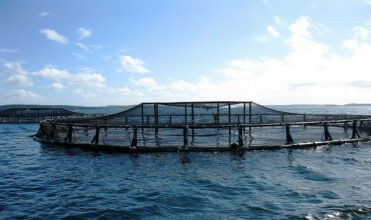 Aquaculture: 98 fermes au Maroc entre 2020 et le 1er semestre 2021
