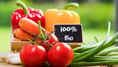 Les subventions pour la certification des produits de l'agriculture Bio publiées au BO