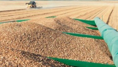 ANP: Hausse des importations des céréales à 3,5 MT à fin avril