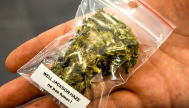 Le Canada fixe au 17 octobre la légalisation du cannabis