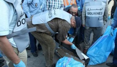 356 kg de cannabis saisis à Tanger-Med
