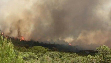 Al Haouz: Le feu de forêt déclaré à l'Ourika maîtrisé