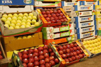 Dakhla : le marché de gros de fruits et légumes bientôt réhabilité pour près de 9 MDH