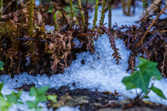 Tempête de grêle dans la région Fès-Meknès: plus de 9.000 ha impactés