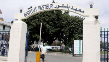 Institut Pasteur: les tests PCR disponibles tous les jours à Casablanca et Tanger