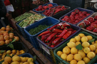 La production légumière couvre les besoins du marché jusqu'en décembre 2020