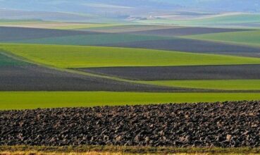 L'absence de pluies annonce une campagne agricole  tardive