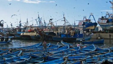 Pêche côtière: baisse de 31% des débarquements en janvier 2021