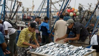 Repli des débarquements de pêche au 1er semestre 2018