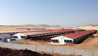 Aviculture. Mitsui &amp; Co. investit dans le groupe marocain Zalar