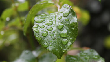 Fortes pluies mercredi dans certaines provinces