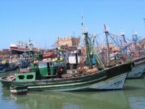 Les produits de la mer ont la pêche