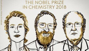 Le Nobel de chimie à deux Américains et un Britannique pour leurs travaux sur l'évolution