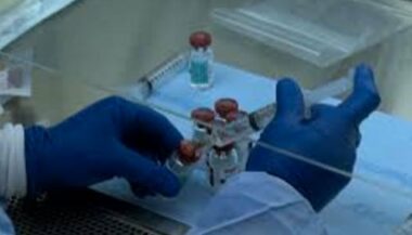 Le Maroc participe au développement d'un test de diagnostic rapide de la toxoplasmose