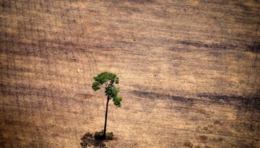 Réchauffement climatique : chaque territoire doit construire sa propre résilience (O’TED)