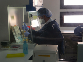 Coronavirus: 29 nouveaux cas dans la nuit, 75 guérisons (16 mai à 10H)