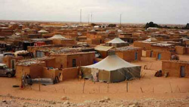 Omar Hilale déplore la situation des droits des femmes dans les camps de Tindouf