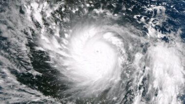 24 heures d'actualité en images