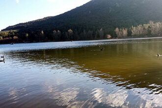 Parc national d’Ifrane: recensement hivernal des oiseaux d’eau