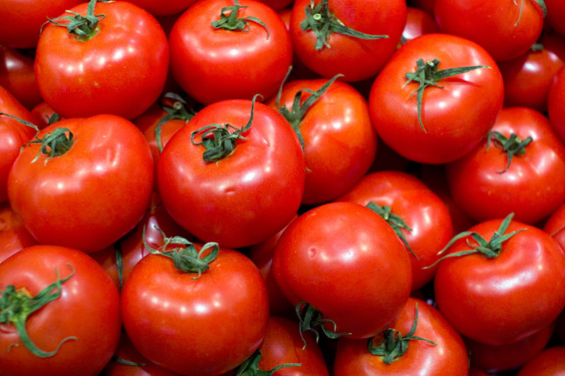 Baisse significative du prix de la tomate ronde - Médias24