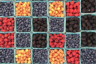 Petits fruits rouges : 4 leviers pour pérenniser le dynamisme de la filière    