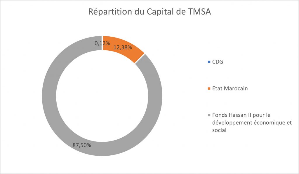 Répartition des actionnaire du groupe Tanger Med (TMSA) dans son capital
