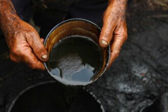 Le pétrole bon marché ne devrait pas avoir la peau des renouvelables